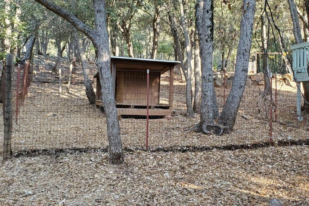 Pine Hills Cabin In Julian Bagian luar foto