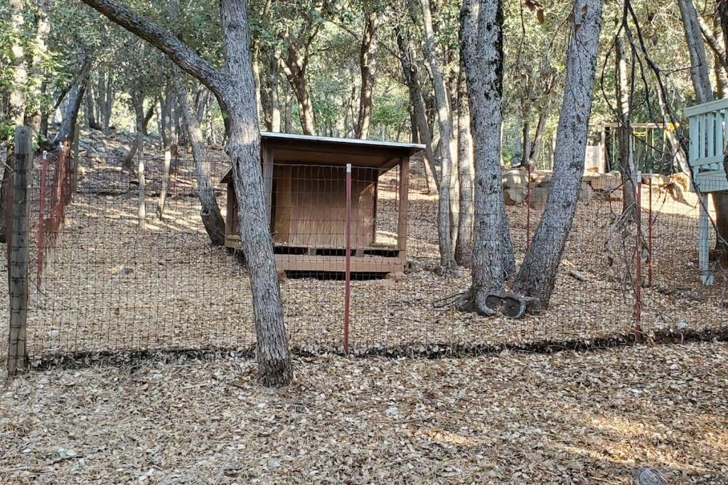 Pine Hills Cabin In Julian Bagian luar foto